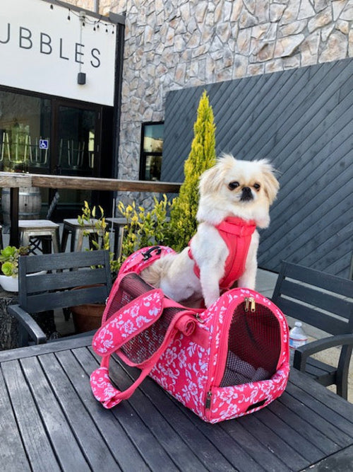 312 Hideaway™ Duffel - Pet Carrier