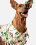 All-over Print Pet Hawaiian Shirt - S