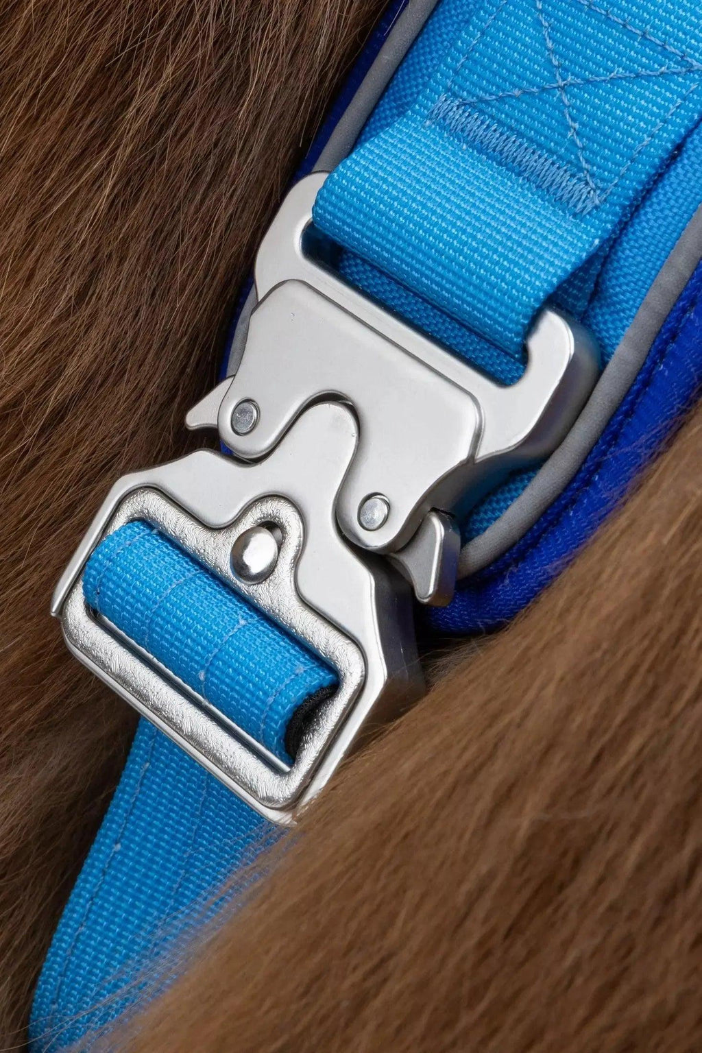 Ultimate Designer Dog Harness - Stylish and Comfortable with