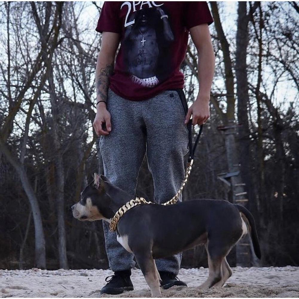 Kilo Cuban Link Dog Leash | Heavy Duty Gold Chain