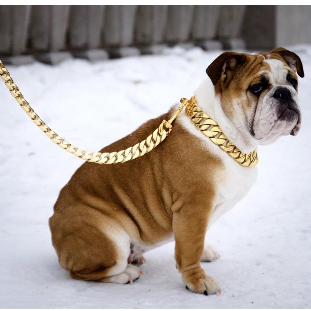 Kilo Cuban Link Dog Leash | Heavy Duty Gold Chain