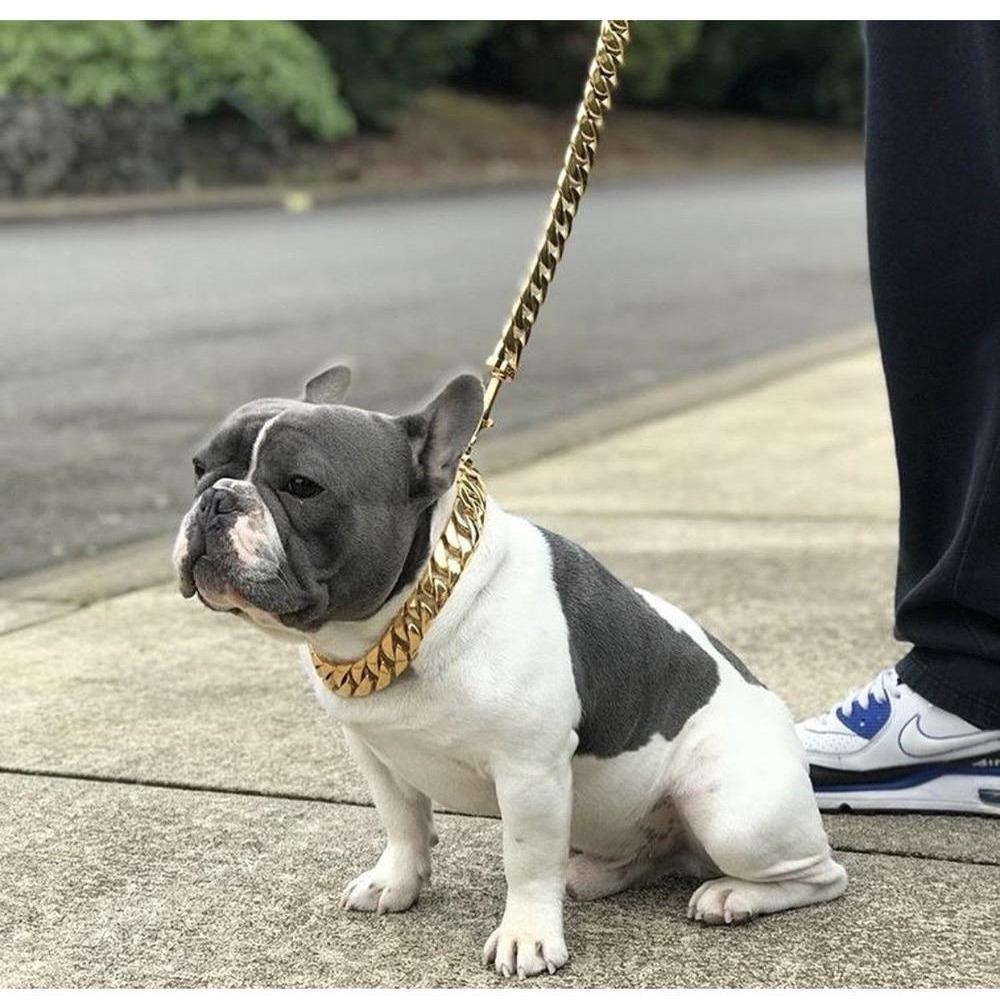 Kilo Cuban Link Dog Leash | Heavy Duty Gold Chain
