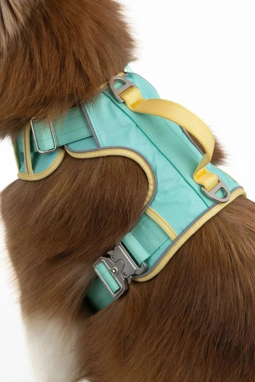 Ultimate Designer Dog Harness - Stylish and Comfortable with