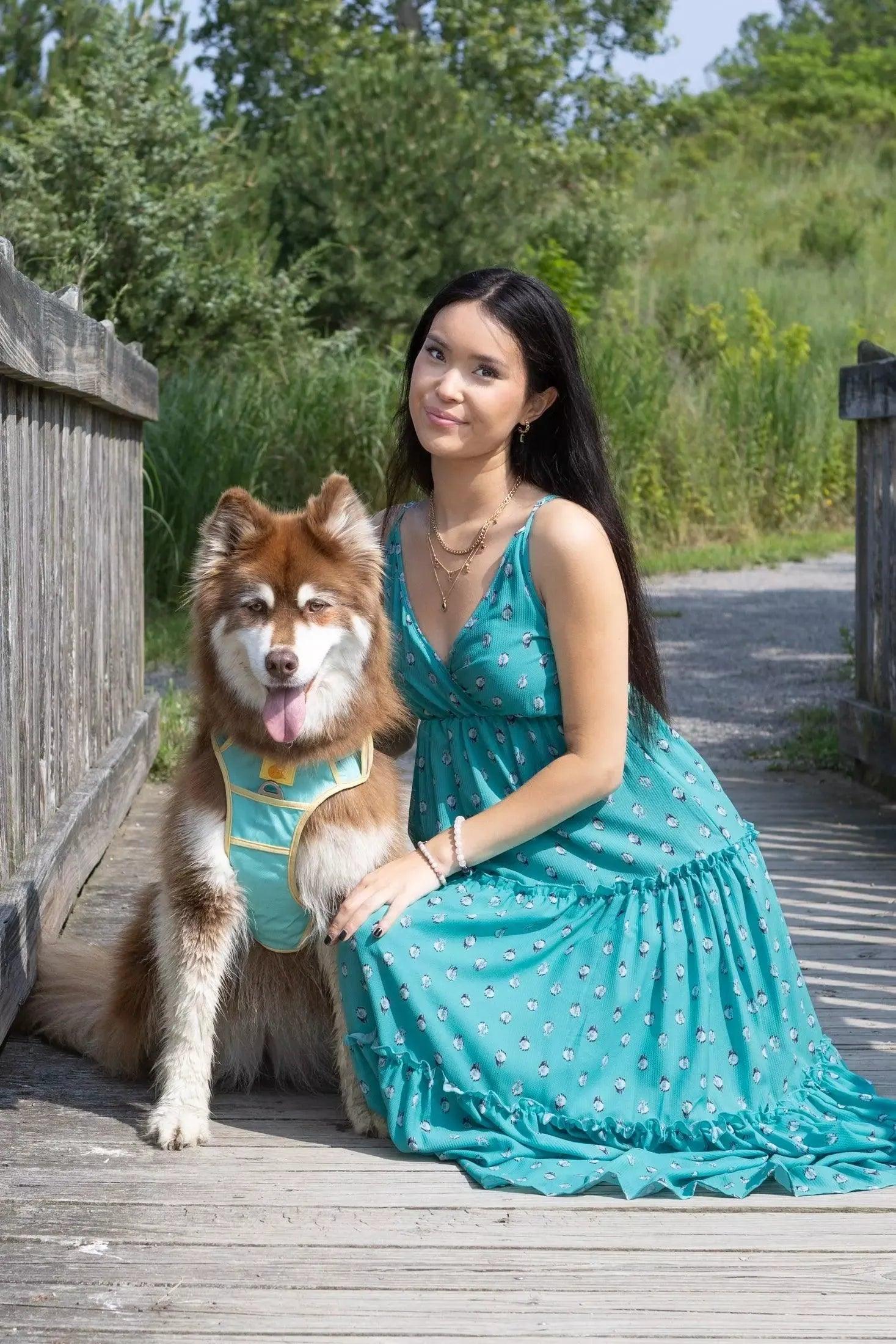 Ultimate Designer Dog Harness - Stylish and Comfortable with