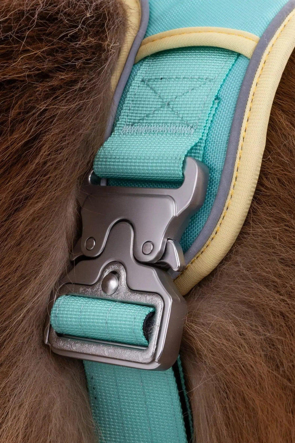 Ultimate Designer Dog Harness - Stylish and Comfortable with