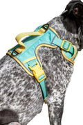Ultimate Designer Dog Harness - Stylish and Comfortable with