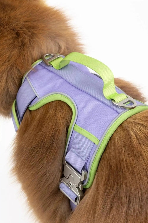 Ultimate Designer Dog Harness - Stylish and Comfortable with