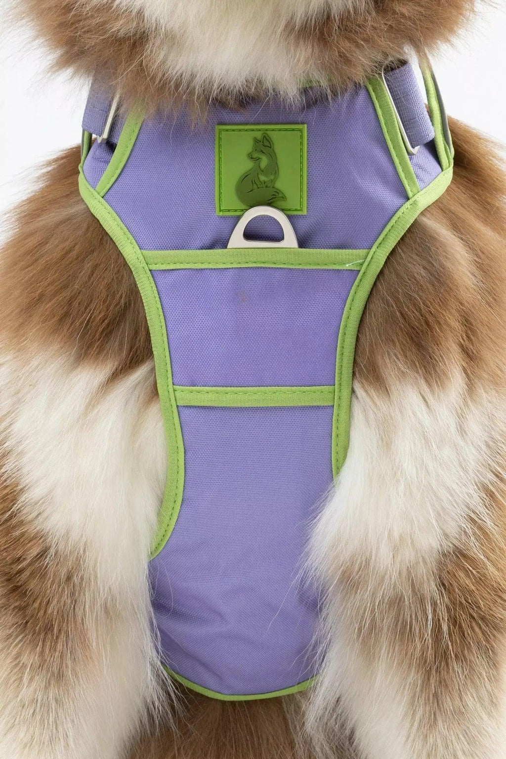Ultimate Designer Dog Harness - Stylish and Comfortable with