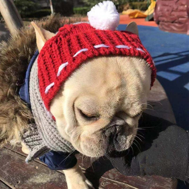 Cozy Canine Winter Hat: Keep Your Furry Friend Warm In Style!