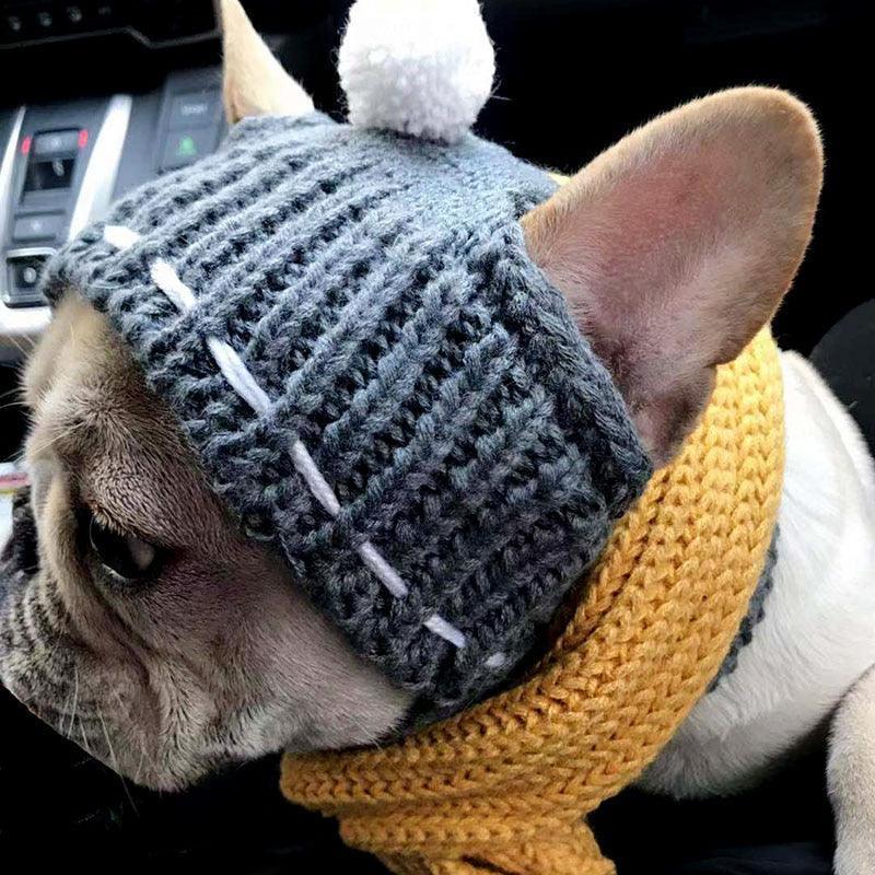 Cozy Canine Winter Hat: Keep Your Furry Friend Warm In Style!