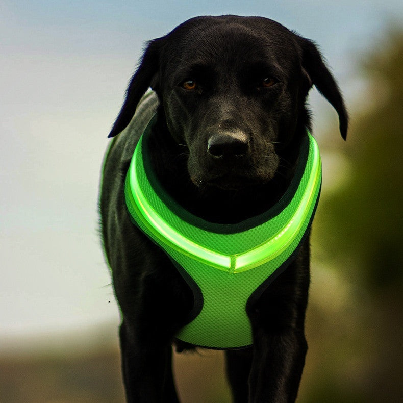 LED Luminous Dog Harness Led USB Charging Dog Chest Strap Vest Pet