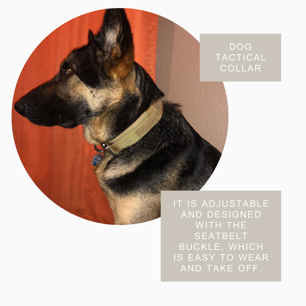 Tactical Dog Collar with Handle | Durable Military K9 Gear