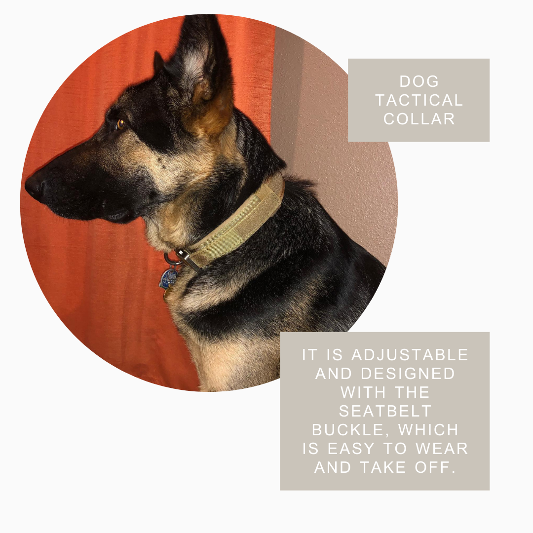 Tactical Dog Collar with Handle | Durable Military K9 Gear