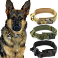 Tactical Dog Collar with Handle | Durable Military K9 Gear